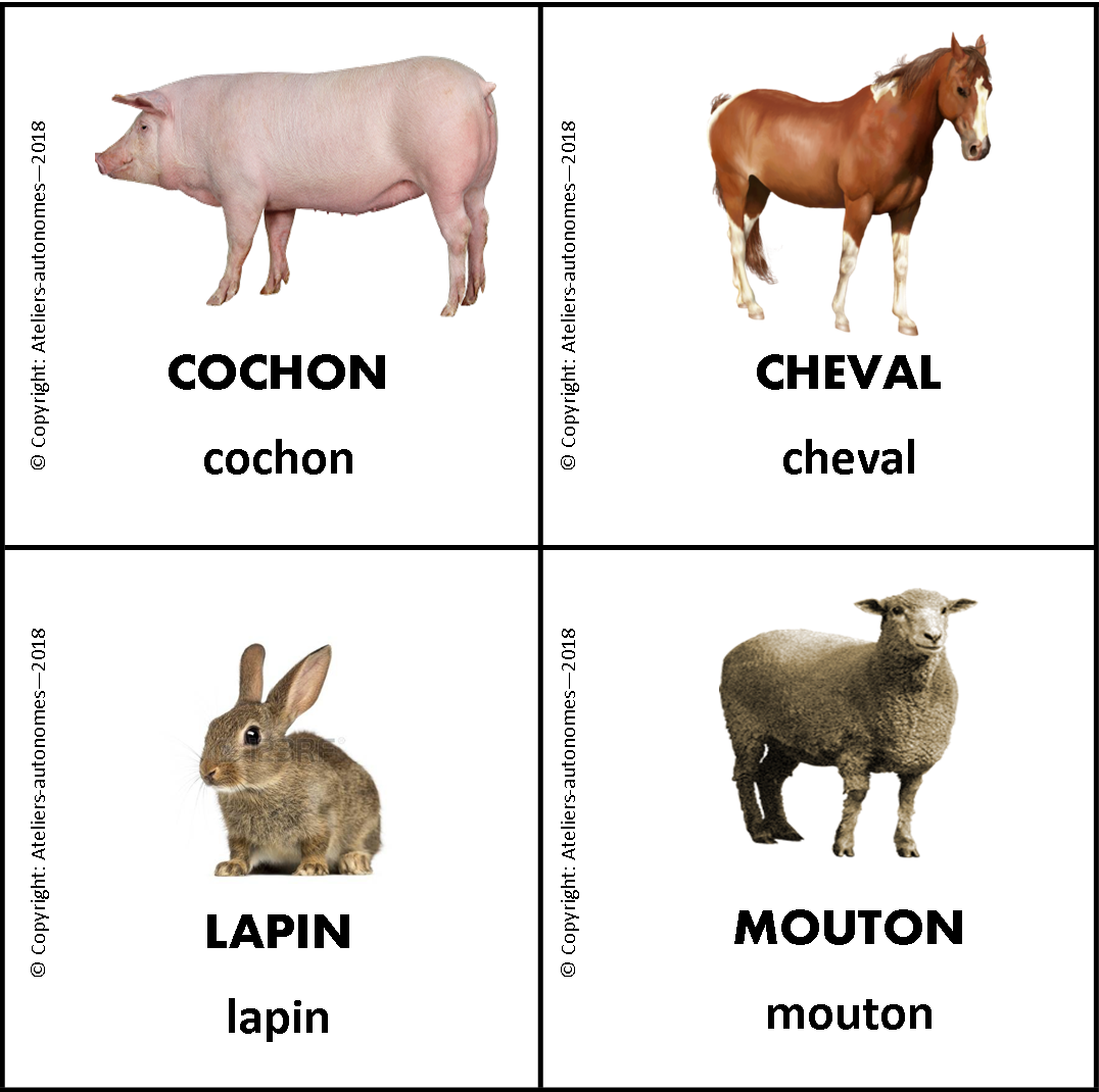 Images classifiées et nomenclature La ferme